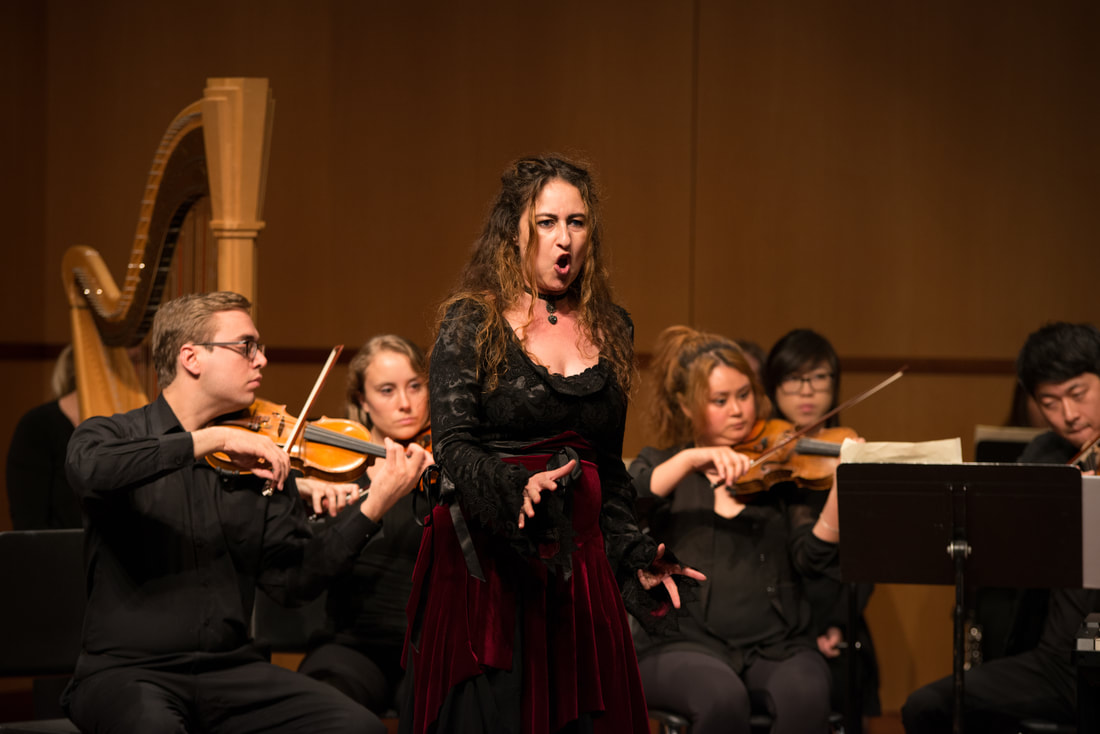 2017 Season Performance