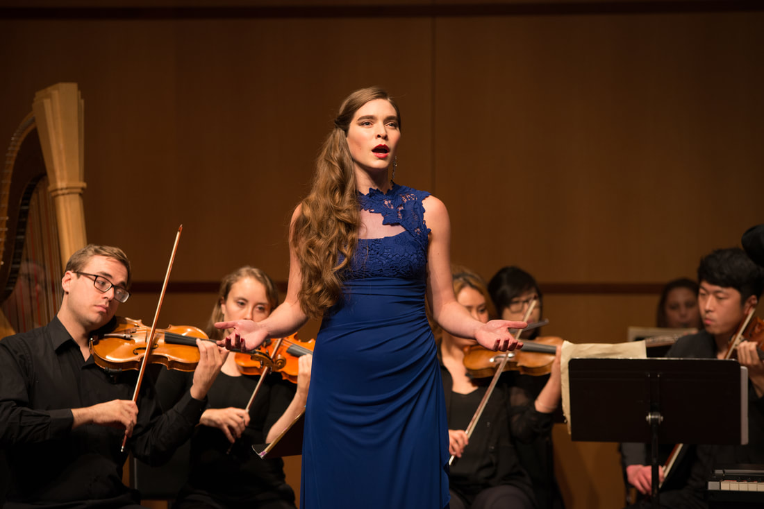 2017 Season Performance