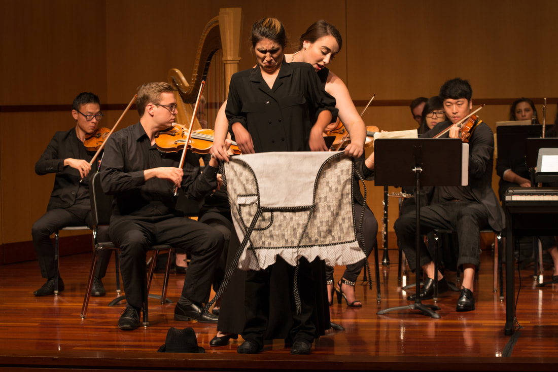 2017 Season Performance