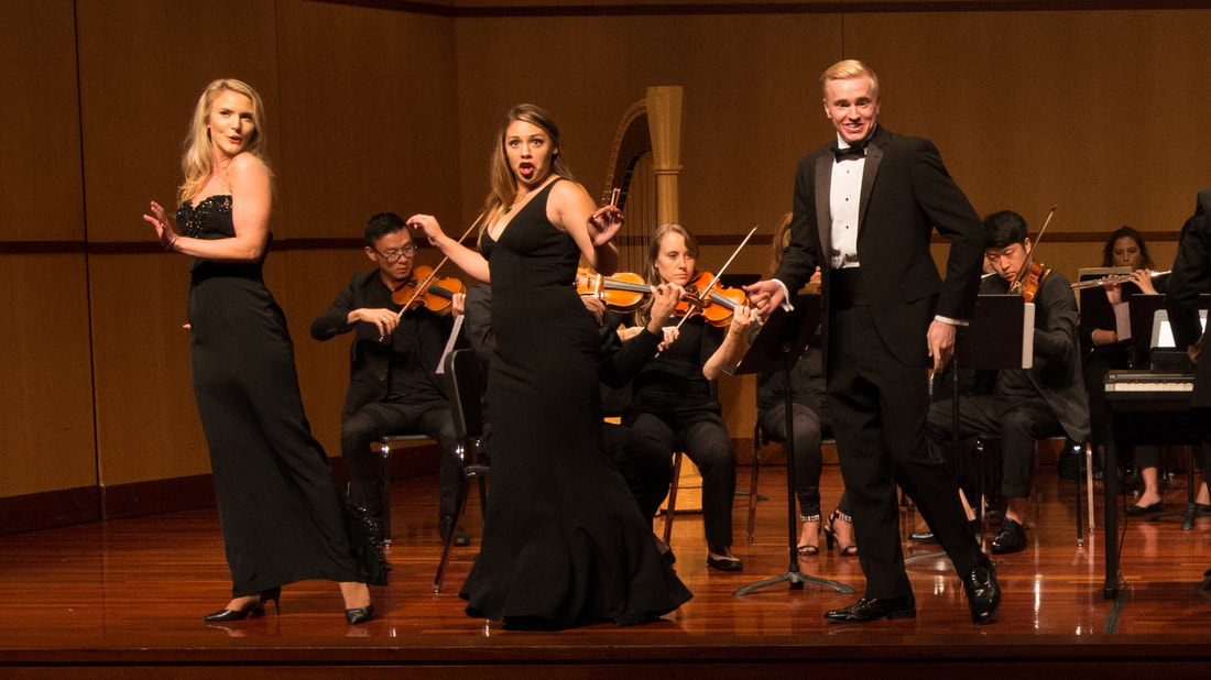 2017 Season Performance