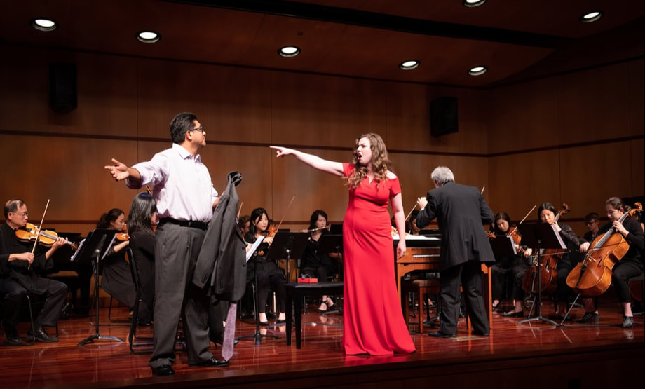 2019 Season Performance