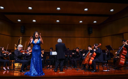 2024 Season Performance