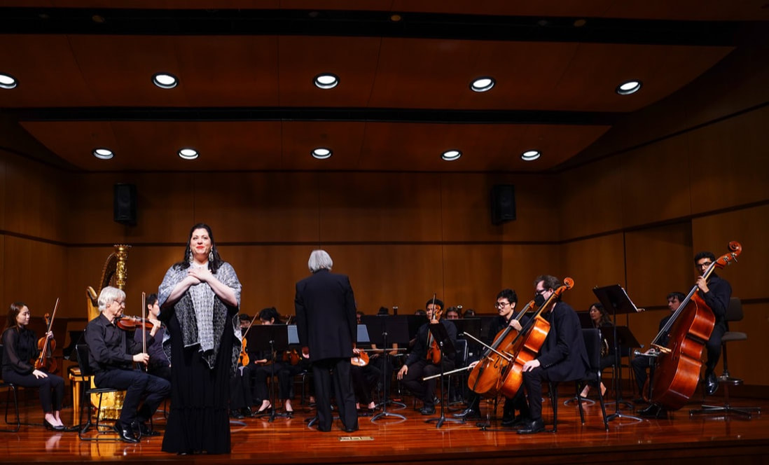 2024 Season Performance