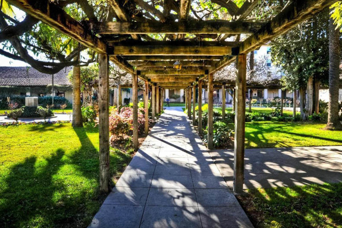 Wisteria pergola walkway on the Santa Clara University campus